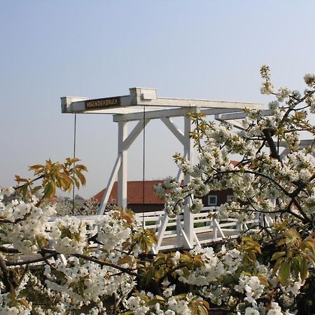 Grünendeich Fewo Elbblick Im Haus Luehegarten 아파트 외부 사진