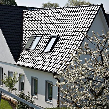 Grünendeich Fewo Elbblick Im Haus Luehegarten 아파트 외부 사진