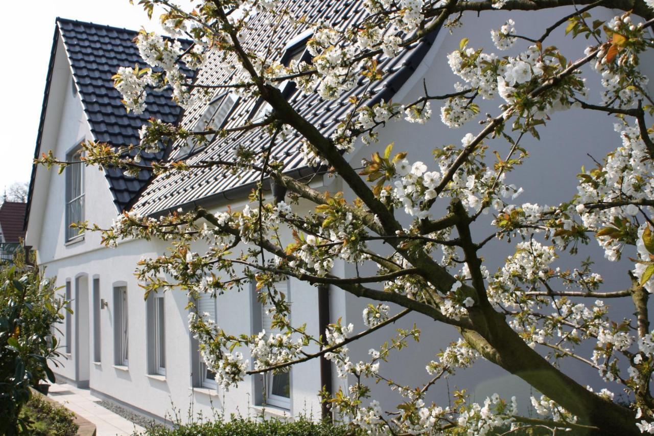 Grünendeich Fewo Elbblick Im Haus Luehegarten 아파트 외부 사진