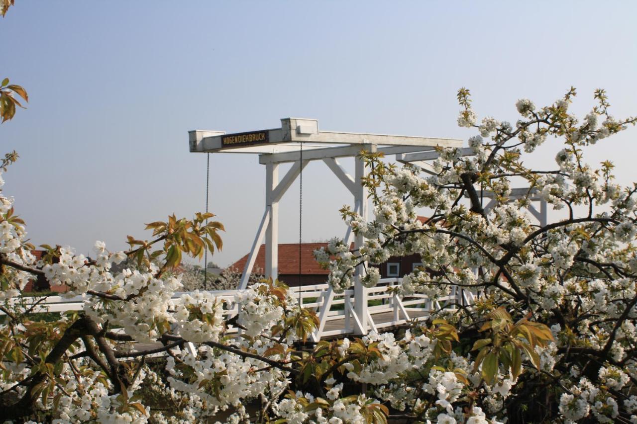 Grünendeich Fewo Elbblick Im Haus Luehegarten 아파트 외부 사진