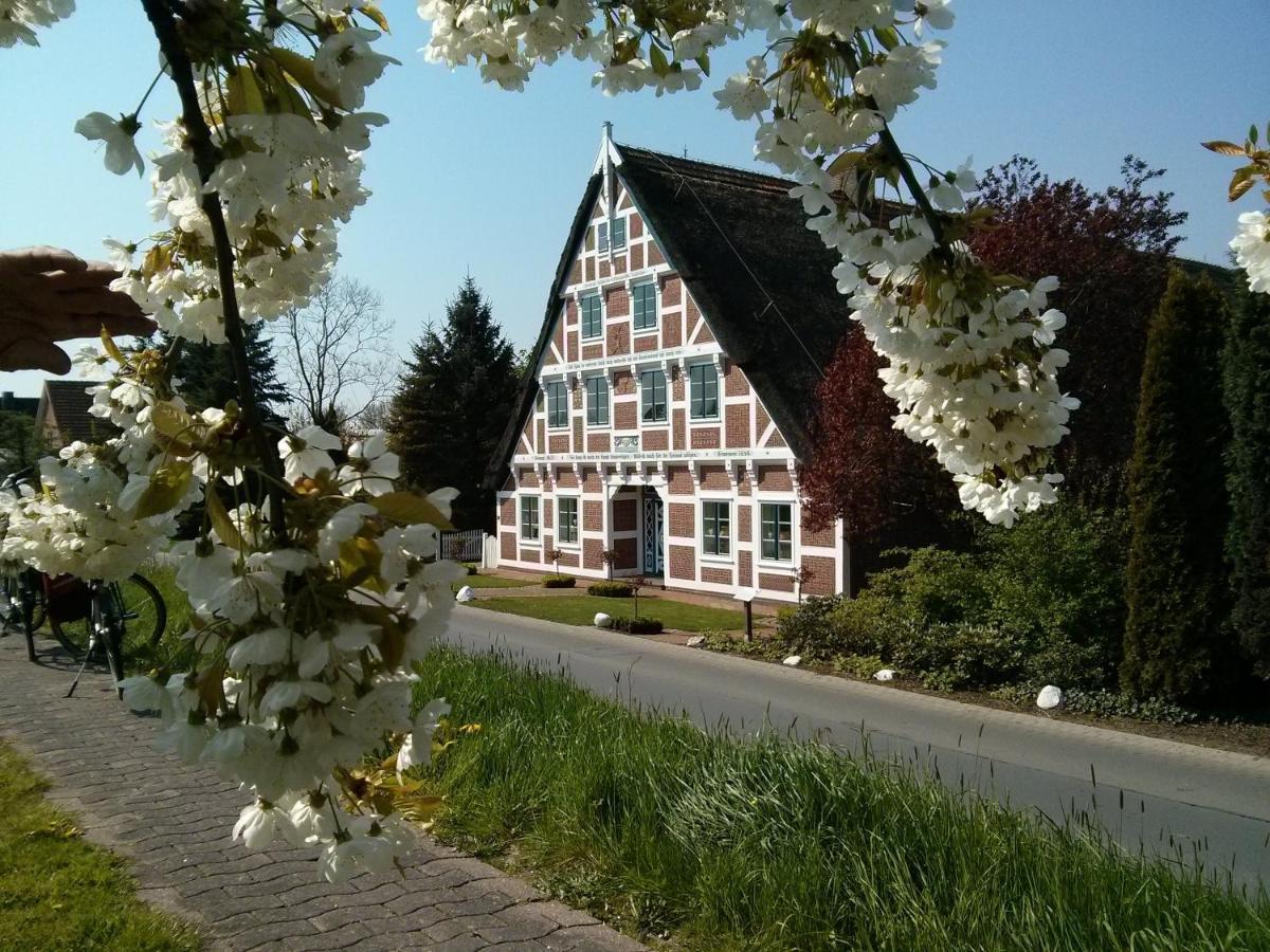 Grünendeich Fewo Elbblick Im Haus Luehegarten 아파트 외부 사진