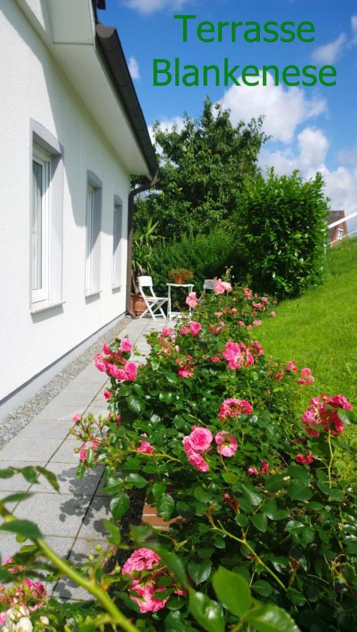 Grünendeich Fewo Elbblick Im Haus Luehegarten 아파트 외부 사진