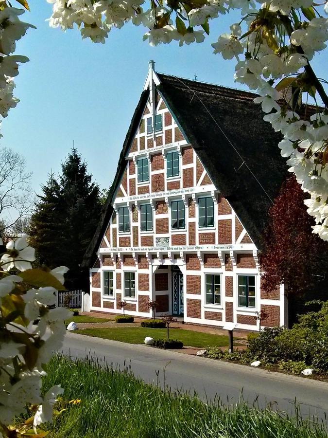 Grünendeich Fewo Elbblick Im Haus Luehegarten 아파트 외부 사진