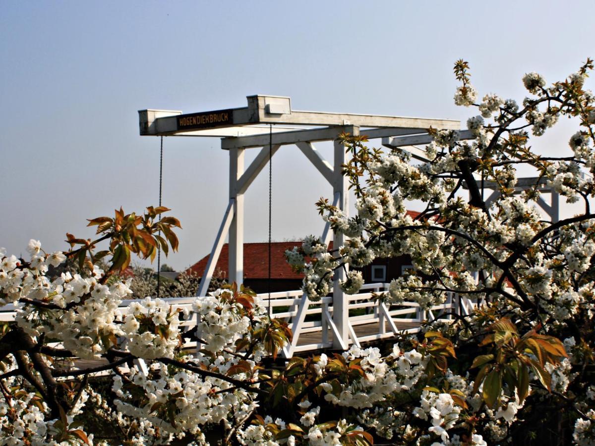 Grünendeich Fewo Elbblick Im Haus Luehegarten 아파트 외부 사진