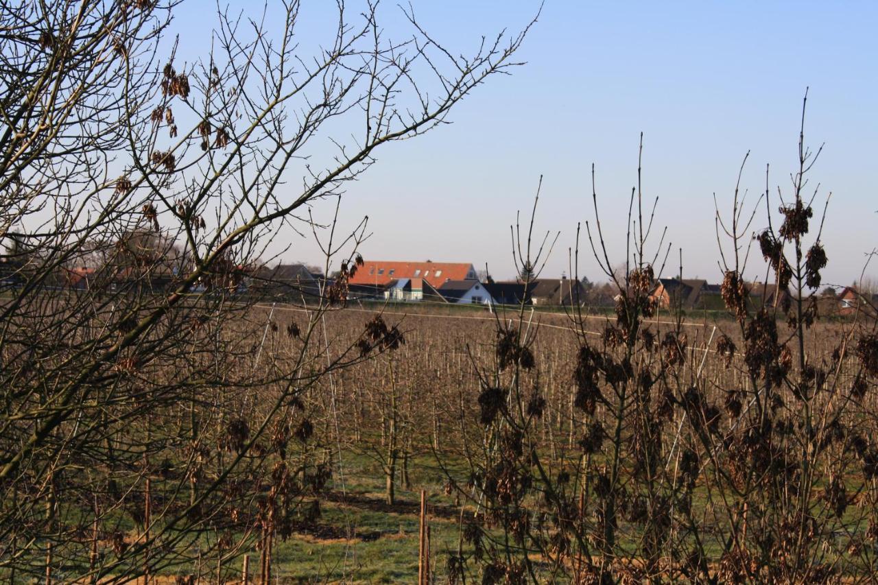 Grünendeich Fewo Elbblick Im Haus Luehegarten 아파트 외부 사진