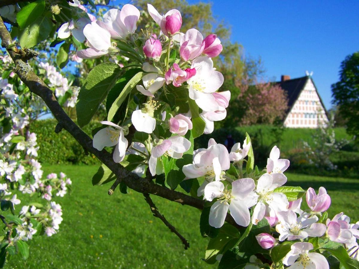 Grünendeich Fewo Elbblick Im Haus Luehegarten 아파트 외부 사진